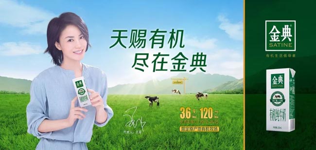 成功的品牌戰(zhàn)略是如何將區(qū)域品牌變成世界名牌？