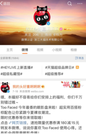 社交網(wǎng)紅貓 社交網(wǎng)紅貓