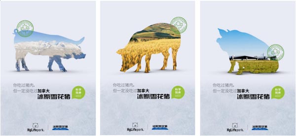 歐賽斯品牌觀察|通過(guò)阿里雙11貓頭 看品牌資產(chǎn)容器該如何打造