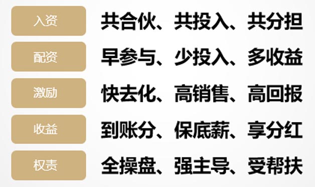 項(xiàng)目合伙人整體模式設(shè)計(jì)