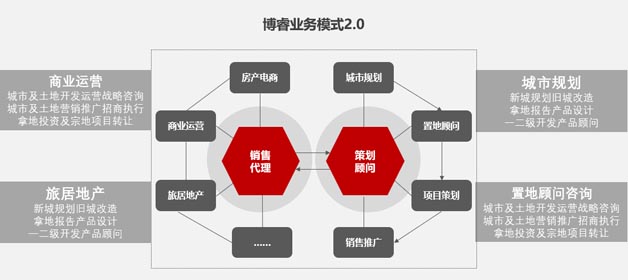 博睿營(yíng)銷2.0戰(zhàn)略布局