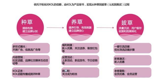案例分享:如何開辟企業(yè)增長的第二曲線|歐賽斯商業(yè)研究