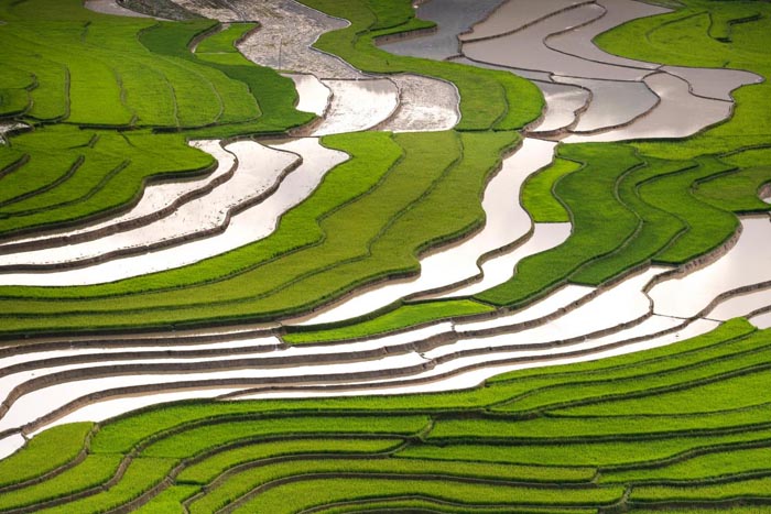 農(nóng)旅融合項目發(fā)展路徑研究分析|歐賽斯品牌策劃