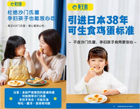 歐賽斯品牌研究:黃天鵝雞蛋快速登頂背后的品牌思維