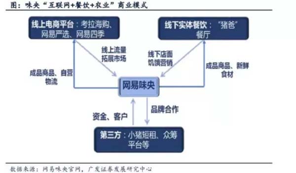 歐賽斯商業(yè)洞察:豬肉市場研究及湘村黑豬戰(zhàn)略破局