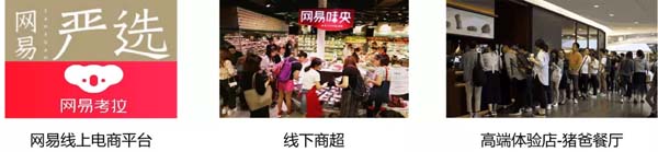 歐賽斯商業(yè)洞察:豬肉市場研究及湘村黑豬戰(zhàn)略破局