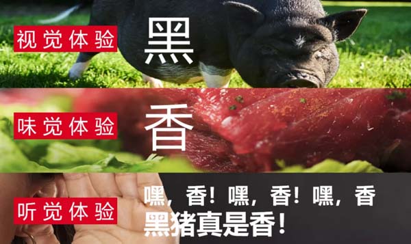 歐賽斯商業(yè)洞察:豬肉市場研究及湘村黑豬戰(zhàn)略破局