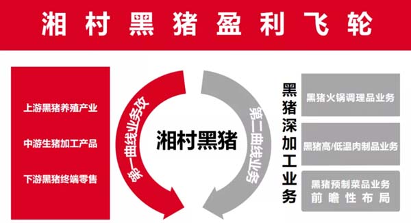 歐賽斯商業(yè)洞察:豬肉市場研究及湘村黑豬戰(zhàn)略破局
