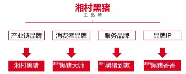 歐賽斯商業(yè)洞察:豬肉市場研究及湘村黑豬戰(zhàn)略破局