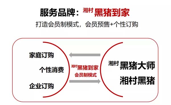 歐賽斯商業(yè)洞察:豬肉市場研究及湘村黑豬戰(zhàn)略破局