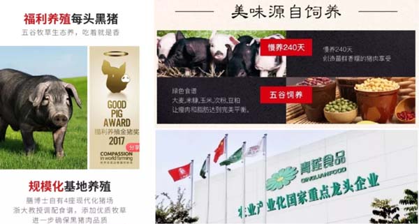 歐賽斯商業(yè)洞察:豬肉市場研究及湘村黑豬戰(zhàn)略破局