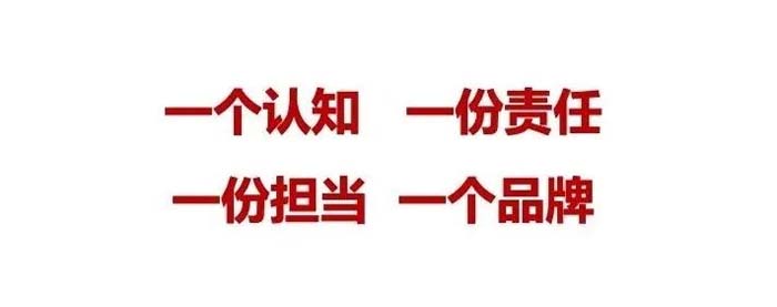如果世界上只有5塊瓷磚，其中1塊就叫大將軍-大將軍品牌戰(zhàn)略破局策劃深度揭秘