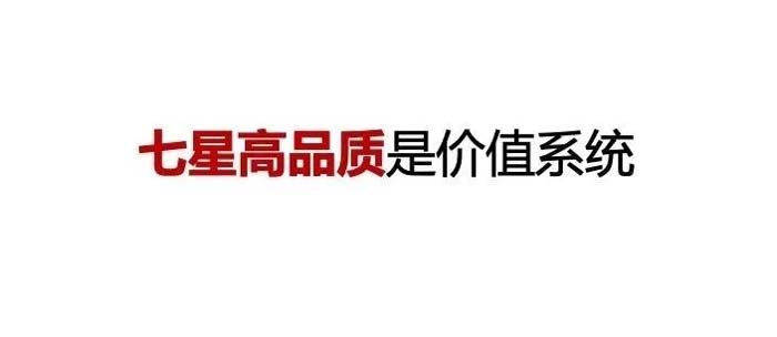 如果世界上只有5塊瓷磚，其中1塊就叫大將軍-大將軍品牌戰(zhàn)略破局策劃深度揭秘