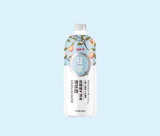 全方面透視元氣森林為首的氣泡水行業(yè):行業(yè)概況┃市場競爭┃產(chǎn)品創(chuàng)新┃風險預期