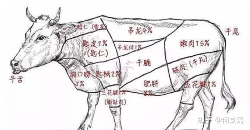 歐賽斯創(chuàng)始人年會(huì)演講實(shí)錄:作品2023-感動(dòng)超越