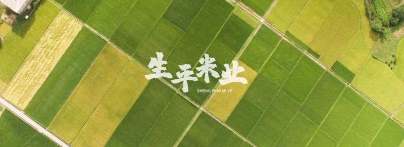 口碑引客，歐賽斯&生平米業(yè)開啟品牌戰(zhàn)略合作