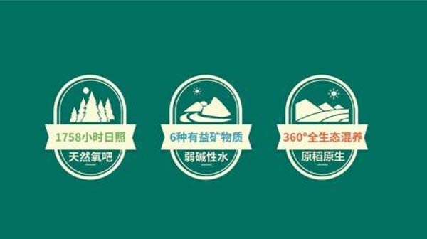 瑤珍大米：升級(jí)產(chǎn)品線，年銷售額增長(zhǎng)40%