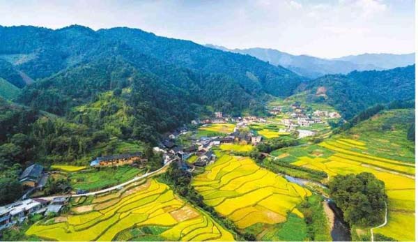 瑤珍大米：升級(jí)產(chǎn)品線，年銷售額增長(zhǎng)40%