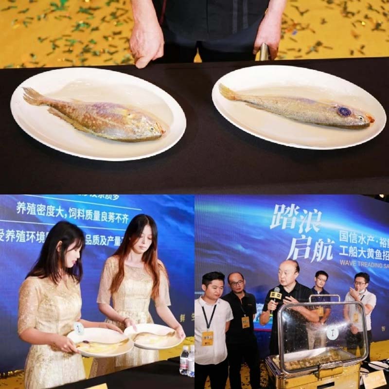 國(guó)信水產(chǎn)“裕鮮舫”┃助力海洋強(qiáng)國(guó)，中國(guó)高端海產(chǎn)品牌之路3步走