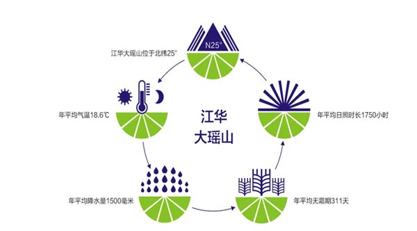 瑤珍大米：升級(jí)產(chǎn)品線，年銷售額增長(zhǎng)40%