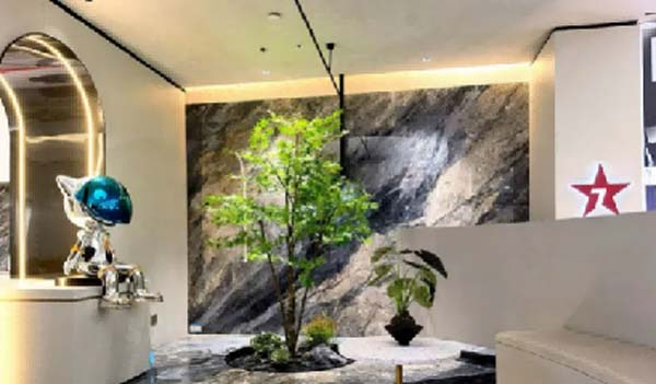大將軍陶瓷全案：戰(zhàn)略落地一年，招商200+，金額破億元