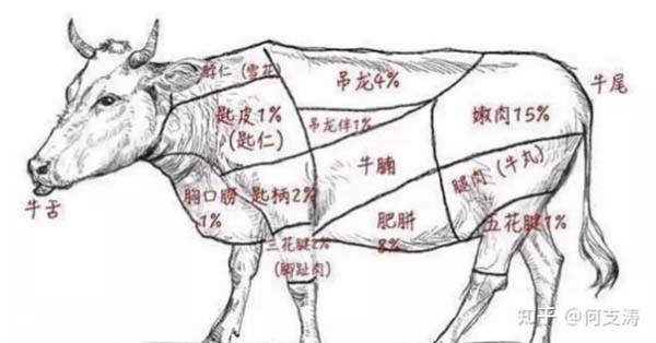 咨詢公司頂級(jí)策劃必須具備的五大思維能力