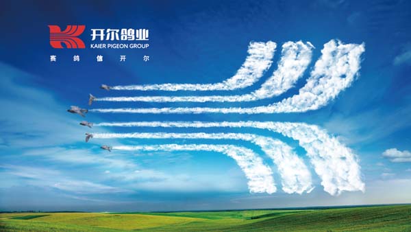 重新定義品牌全案策劃 │打造超級品牌的100個(gè)精華要點(diǎn)（第51-60講）