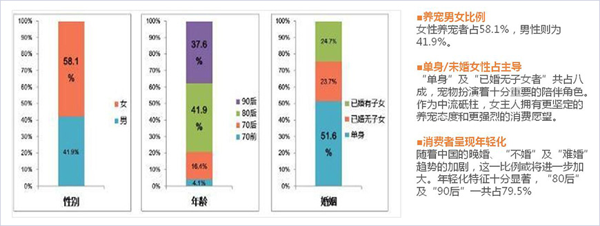 目標(biāo)消費(fèi)者核心洞察