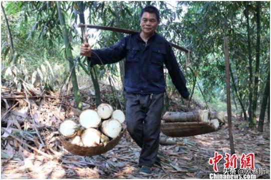 品牌戰(zhàn)略