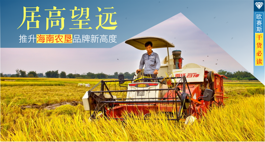 海南農(nóng)墾
